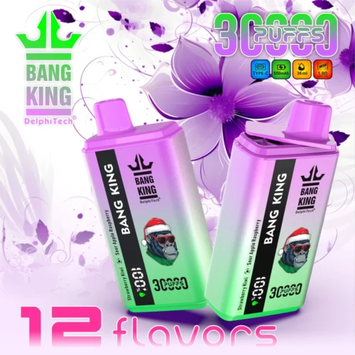 Bang King 30K (2-in-1) Disposable Vape | Dual Flavor | 30,000 Puffs | EU Warehouse