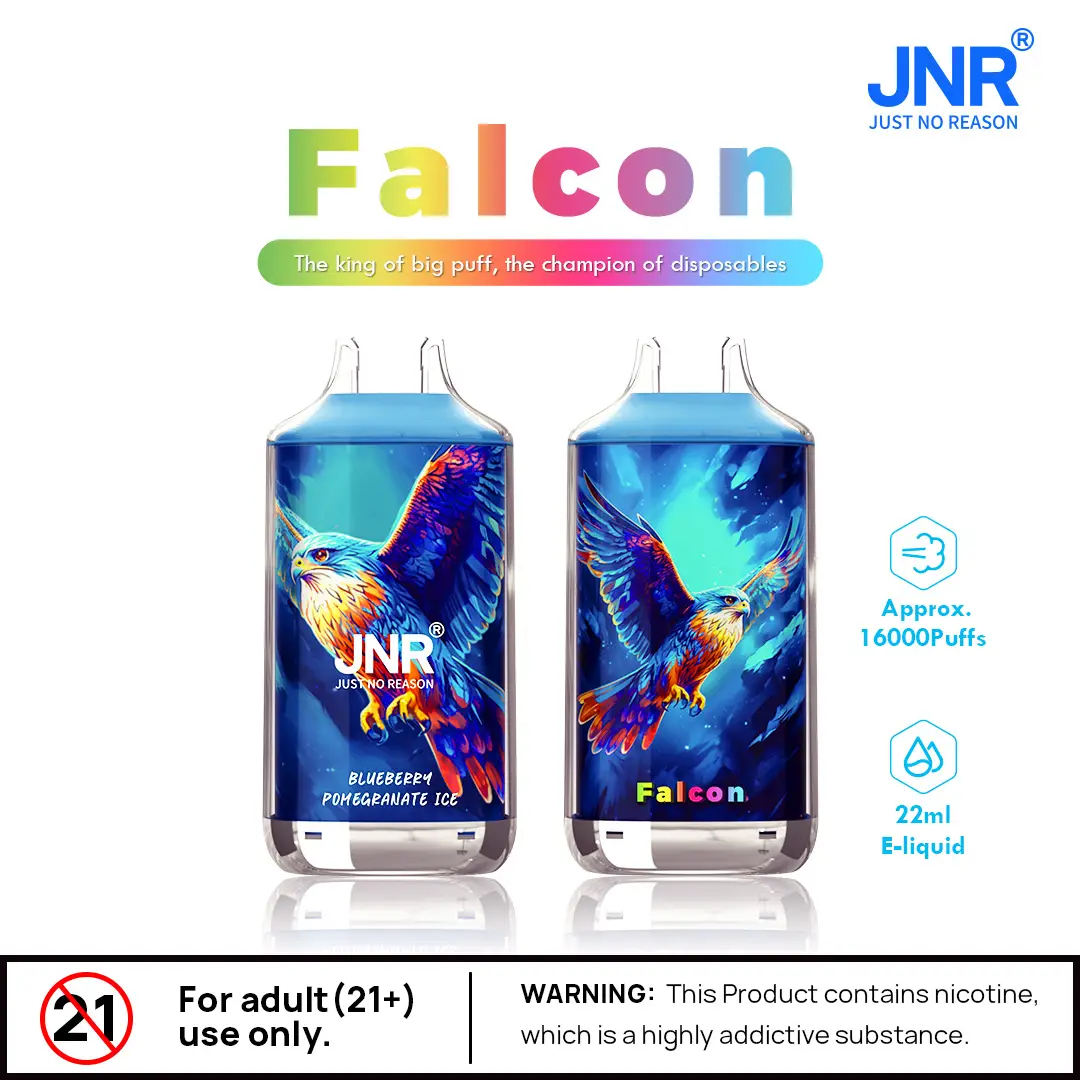JNR Falcon 16k 1 - vaporeur