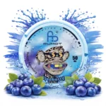 Fumot-Snus-Blueberry-50mg vaporeur