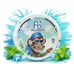 Fumot-Snus-Ice-Mint-11mg vaporeur