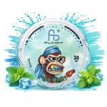 Fumot-Snus-Ice-Mint-30mg vaporeur